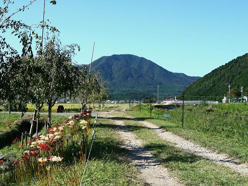 flower of Higan and the peaceful scenery in Taka, Hyogo