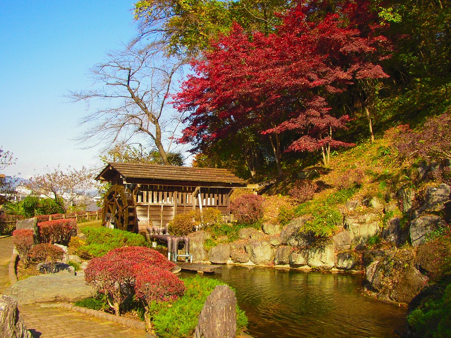 colored leaves and waterwheel in Saitama