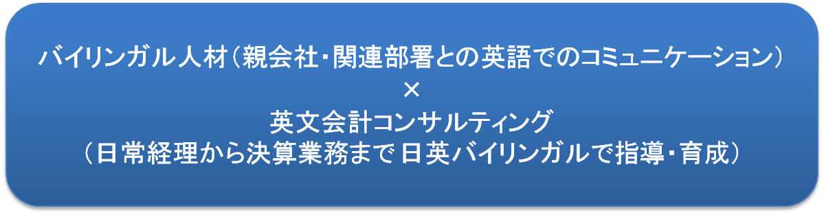 バイリンガル人材（親会社・関連部署との英語でのコミュニケーション）plus 英文会計コンサルティング（日常経理から決算業務まで 日英バイリンガルで指導・育成）