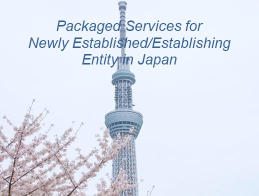 Packaged Accounting Services for New Foreign Companies inside Japan